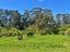 490 Henderson Bay Road, Houhora, Kaitaia - Carousel 31