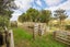 1233 Makino Road, Halcombe, Feilding - Carousel 28