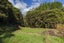 226 Peria Road, Peria, Kaitaia - Carousel 10