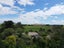 605 Tirau Road, Cambridge, Cambridge - Carousel 2