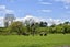 271 Awamate Road, Frasertown, Wairoa - Carousel 10