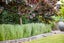 1B Tomin Road, Glenview, Hamilton - Carousel 28