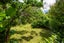 15 Beaconsfield Street, Devonport, Auckland - Carousel 20