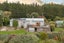 156 Shag Point Road, Palmerston, Waitaki, Otago - Carousel 31