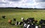 0 State Highway 1, Himatangi, Foxton - Carousel 8