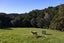 723B Whangarei Heads Road, Parua Bay, Whangarei, Northland - Carousel 7