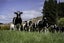0 Taieri Peak Road, Palmerston, Palmerston - Carousel 12