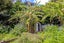 17 Crescent Road East, Ostend, Waiheke Island - Carousel 19