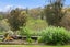 593 Waitomo Valley Road, Otorohanga, Otorohanga - Carousel 25