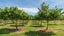 973 Hoskyns Road, Christchurch - Carousel 20