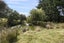 13 Mcmaster Road, Saddle Hill, Dunedin - Carousel 20