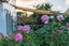 38A Pokapu Street, Titirangi, Auckland - Carousel 35