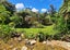 755 Driving Creek Road, Coromandel, Coromandel - Carousel 4