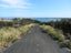 105D Whatuwhiwhi Road, Karikari Peninsula, Karikari Peninsula - Carousel 14