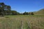 752A Ponatahi Road, Martinborough, Carterton - Carousel 4