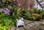 90 Lincoln Street, Ponsonby, Auckland - Carousel 28