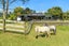 487 Pyes Pa Road, Pyes Pa, Tauranga - Carousel 9