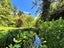 1097 Milton Highway, Lovells Flat - Carousel 3
