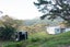 67A Kokohuia Road, Ōmāpere, Kaikohe - Carousel 7