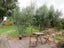 49 Exeter Crescent, Takaro, Palmerston North - Carousel 15