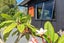 17 Waiotoi Road, Whangarei - Carousel 22