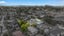 21 Sungrove Rise, Sunnyvale, Auckland - Carousel 17