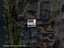 18C Clifton Road, Hamilton Central, Hamilton - Carousel 18