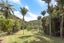820 Colville Road, Amodeo Bay, Coromandel - Carousel 4