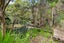 249 Hikurua Road, Kaeo - Carousel 7