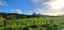 288 North Manakau Road, Manakau, Horowhenua, Manawatu / Whanganui - Carousel 2