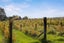 460 Matakana Road, Matakana, Rodney, Auckland - Carousel 7