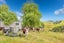 998 Limeworks Loop Road, Karamu, Waipa, Waikato - Carousel 30