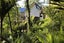 251 Wade River Road, Wade Heads, Whangaparaoa - Carousel 20