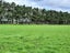 157 Motuiti Road, Foxton, Foxton - Carousel 2