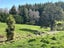 140 Three Mile Hill Road, North Taieri, Mosgiel - Carousel 18