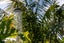 563 Grenada Street, Papamoa Beach, Papamoa - Carousel 26