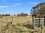 371 Tutaki Road, Bunnythorpe, Palmerston North - Carousel 27