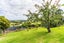 1 Griffin Road, Maungaturoto - Carousel 8