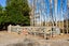22 Reeves Street, Cheviot, Cheviot - Carousel 38