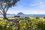 99 Beach Road, Otumoetai, Tauranga - Carousel 5
