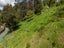 20 Teal Valley Road, Nelson - Carousel 27