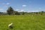 455 Riccarton Road West, North Taieri, Mosgiel - Carousel 15
