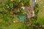130 Kensington Road, Waihi, Hauraki, Waikato - Carousel 21
