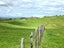 23 Mairoa Road, Piopio, Piopio - Carousel 5