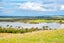 143D Tuparekura Road, Helensville - Carousel 8