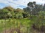 4/100 Walker Road, Point Chevalier, Auckland City, Auckland - Carousel 1