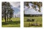 166A Te Tuhi Road, Okauia, Matamata - Carousel 35