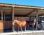 671 Browns Rock Road, Burnt Hill, Oxford - Carousel 28