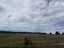 3 Old Cottage Lane, Waitati, Waitati - Carousel 7