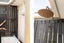 2/563 Maunganui Road, Mount Maunganui - Carousel 9